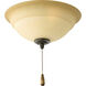 Torino LED Forged Bronze Fan Light Kit