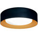 Orsa LED 14 inch Black and Brushed Brass Flush Mount Ceiling Light
