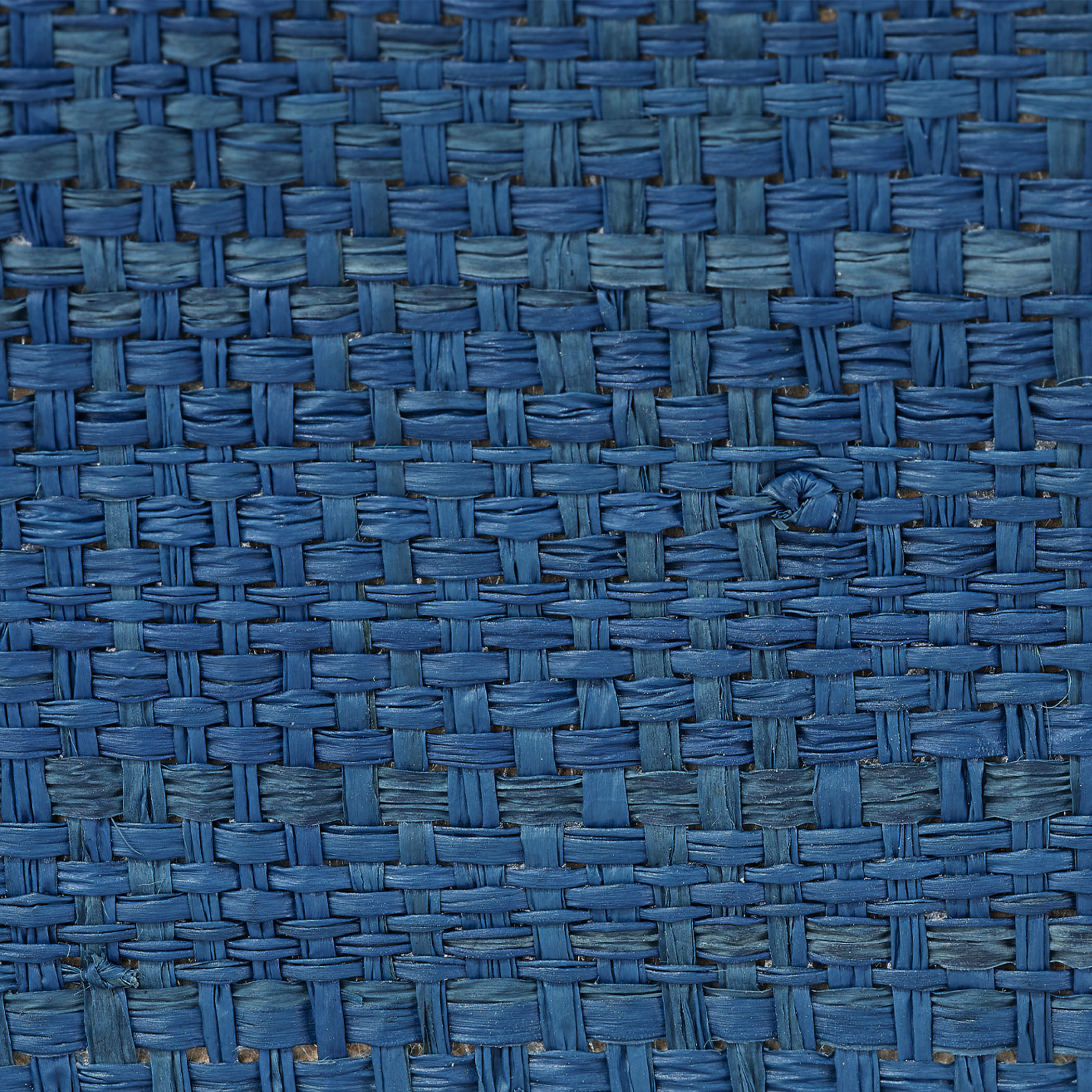 Wonderland Indigo Raffia Tray in Large