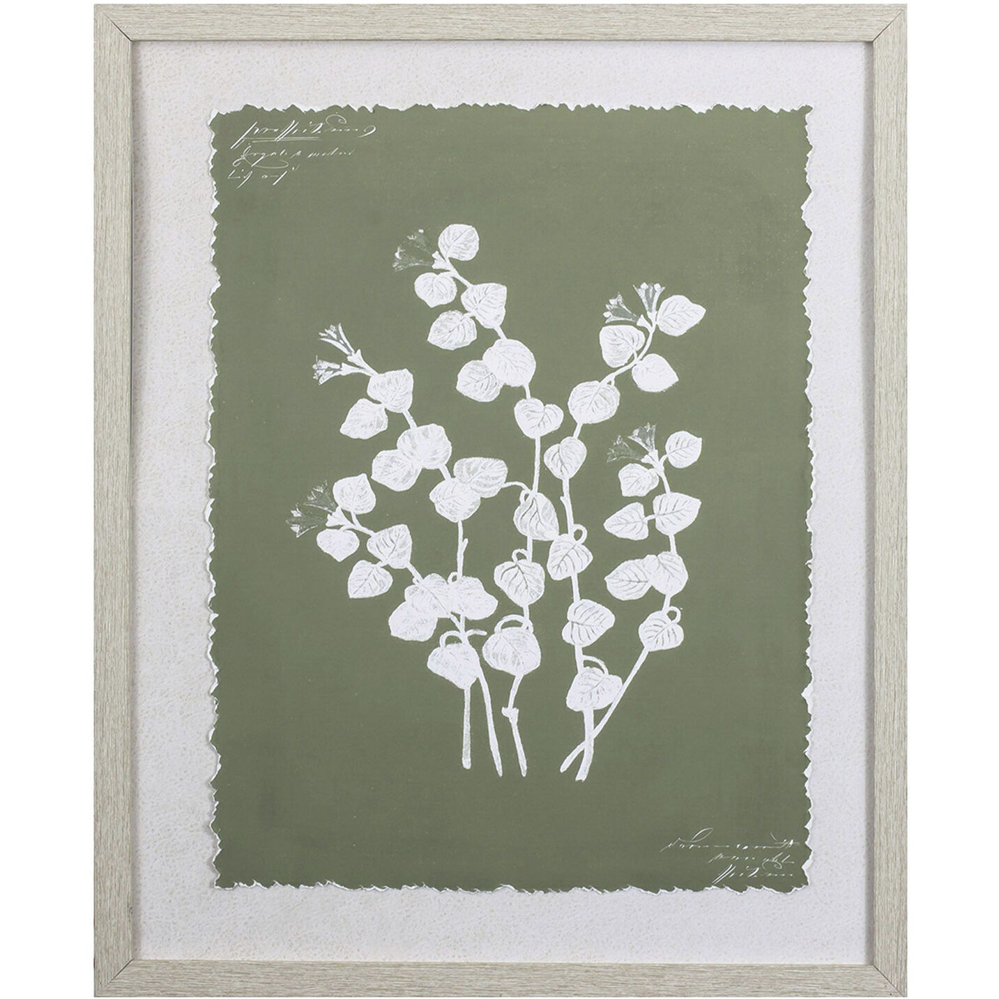 Botanical Garden Green Framed Art, Propac