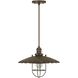 Olive 1 Light 14 inch Rust Pendant Ceiling Light
