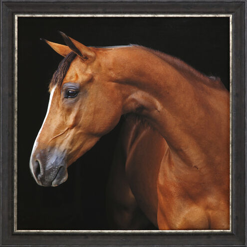 Animals Brown and Black and Neutral Framed Art