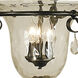 Carcassonne 3 Light 18 inch Mahogany Bronze Foyer Chandelier Ceiling Light
