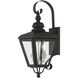 Adams 2 Light 21.5 inch Black with Brushed Nickel Finish Cluster Outdoor Wall Lantern in Black with Brushed Nickel Accent, Medium