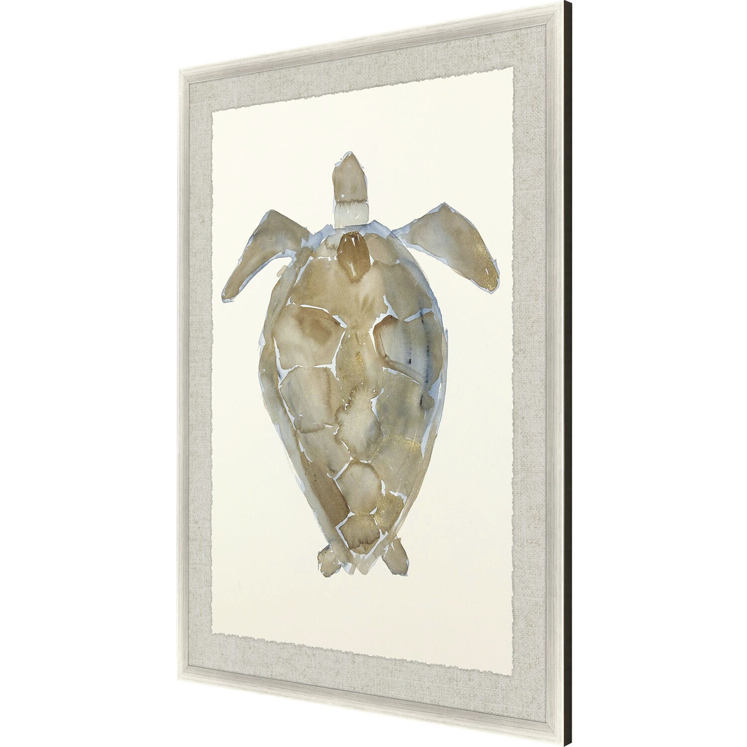 Neutral Turtle Brown and Beige and Blue and Neutral Framed Art