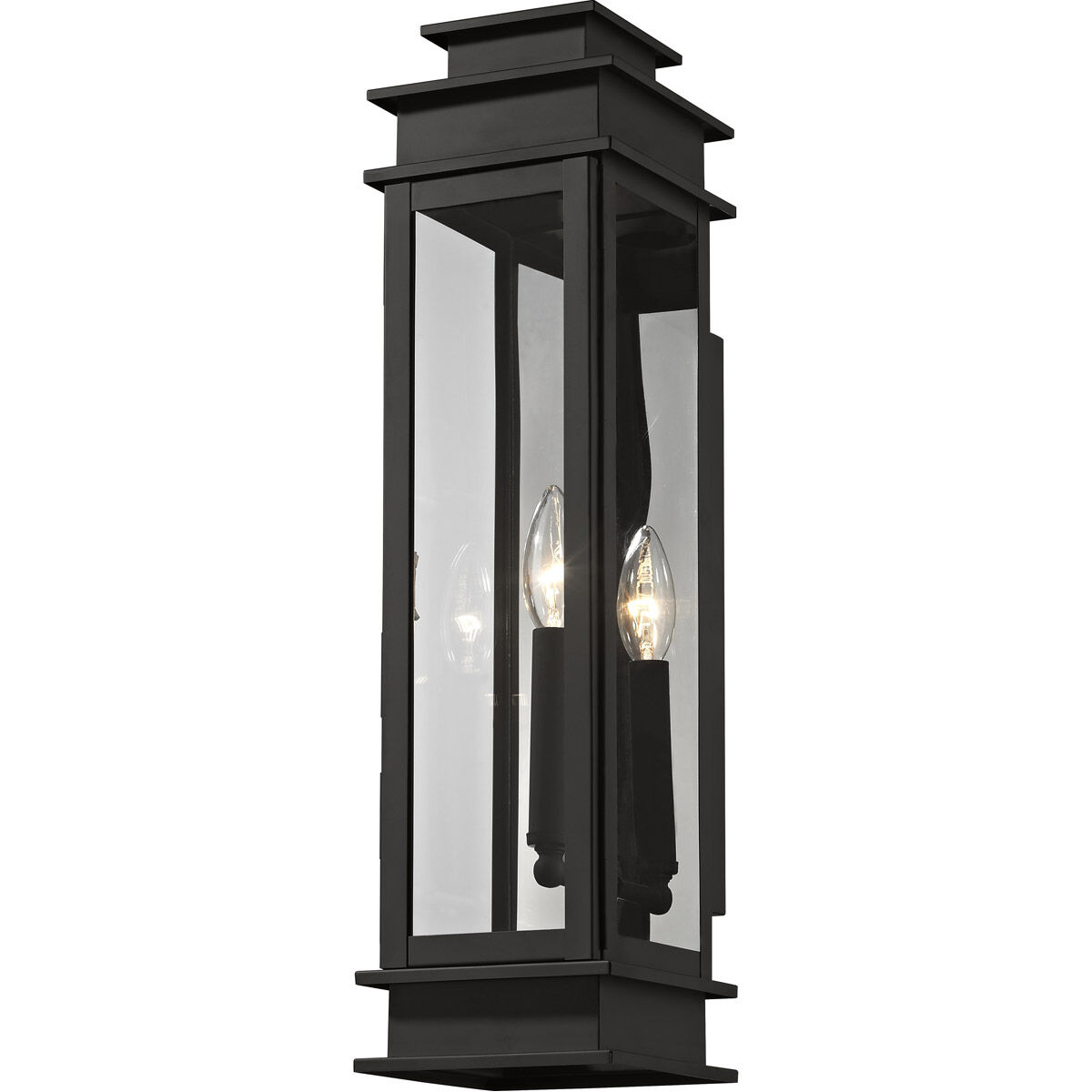 Princeton 1 Light 20.25 inch Black Outdoor Wall Lantern