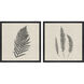 Modern Ferns Neutral and Black and Beige Framed Art