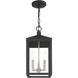 Nyack 3 Light 8.25 inch Black with Brushed Nickel Cluster Outdoor Pendant Lantern