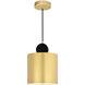 Saleen LED 9 inch Brass and Black Mini Pendant Ceiling Light