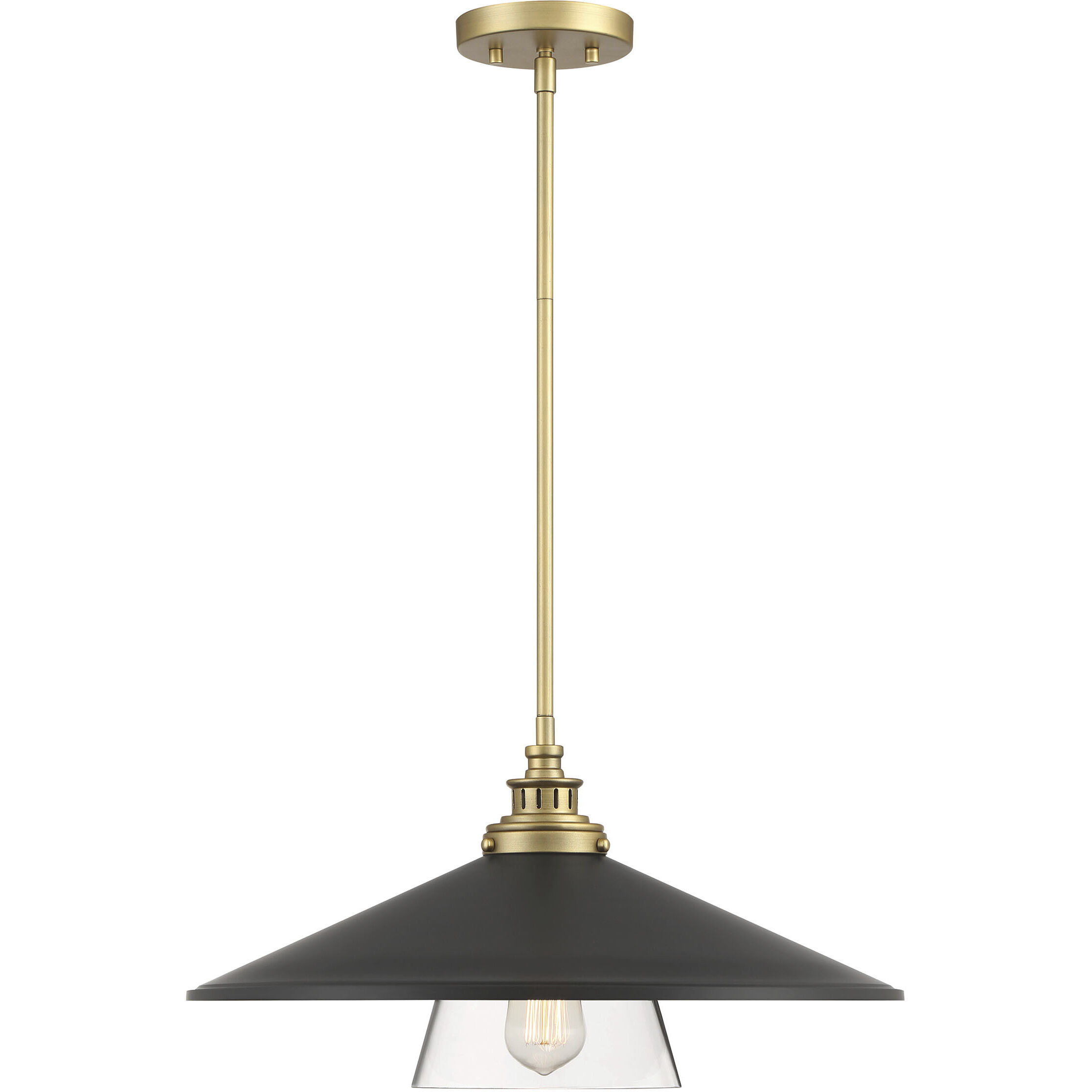Segan 1 Light 20 inch Coal & Soft Brass (Painted) Pendant Ceiling Light, Outdoor