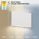 Tablet LED 5.5 inch White Outdoor Wall Light