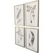 Fern Study Gray and Beige and Green Framed Art