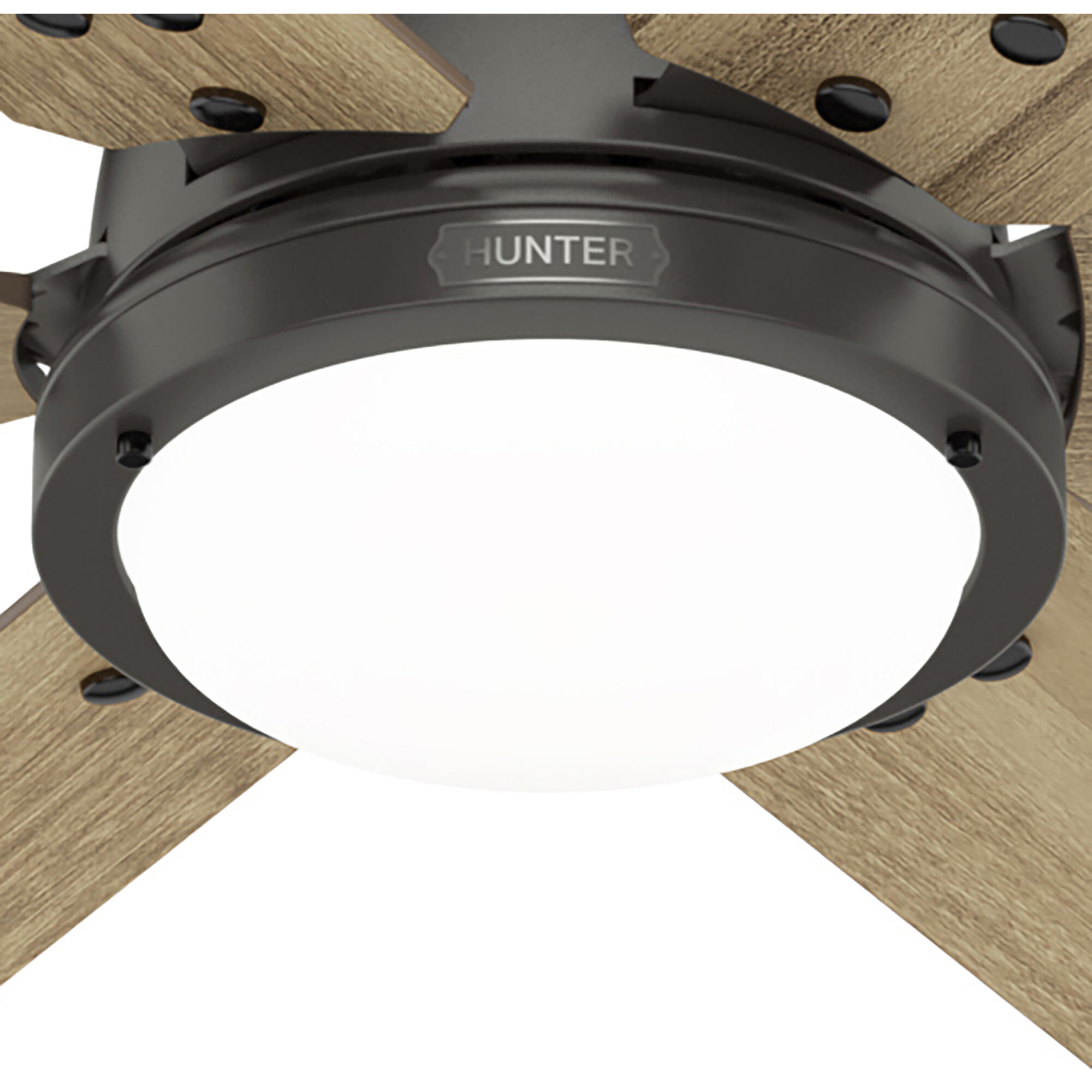 Gravity 72 inch Noble Bronze with Golden Maple Blades Ceiling Fan