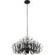 Wildflower 15 Light 40 inch Matte Black Chandelier Ceiling Light, Smithsonian Collaboration