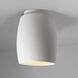 Radiance 1 Light 6.75 inch Bisque Outdoor Flush Mount, Form+Finish+Function