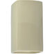 Ambiance LED 9.5 inch Vanilla Gloss Outdoor Wall Sconce
