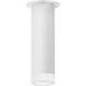 Luxe Cylinder 1 Light 3.75 inch Flush Mount