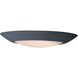 Diverse LED 8 inch Black Flush Mount Ceiling Light