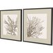 Naturals Collection Brown Framed Art