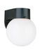 Outdoor Wall 1 Light 7.25 inch Black Outdoor Wall Lantern
