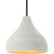 Radiance 1 Light 11.5 inch Matte White and Champagne Gold and Matte Black Pendant Ceiling Light