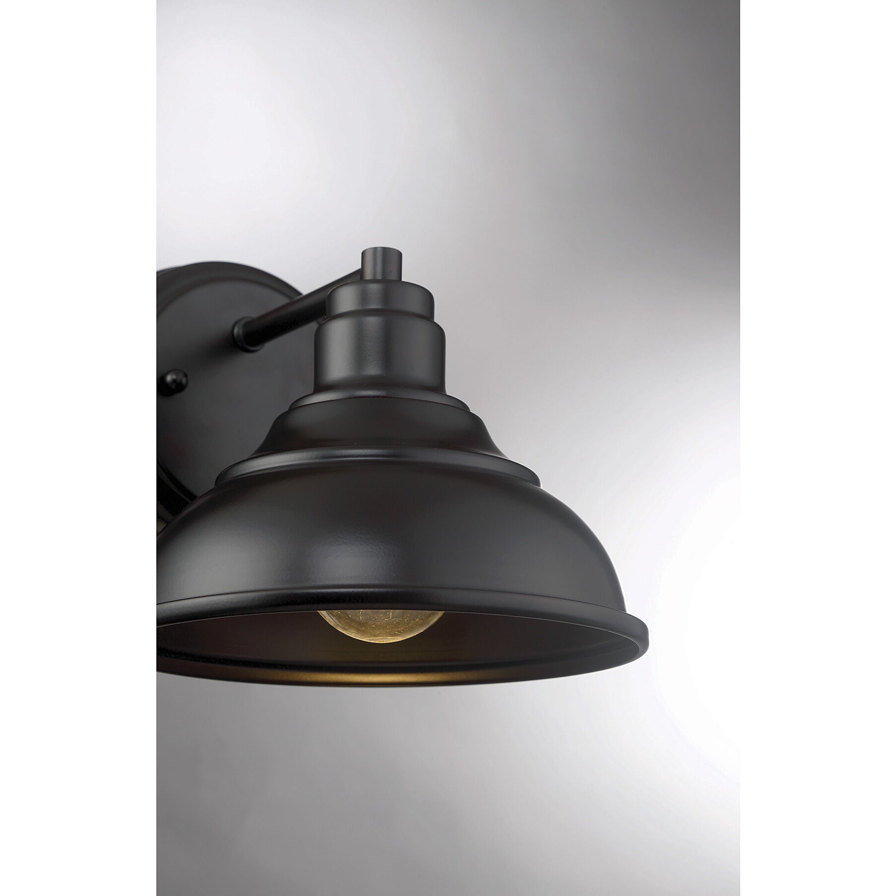 Dunston DS Outdoor Wall Lantern