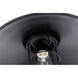 Flaneur 1 Light 11 inch Black Pendant Ceiling Light