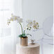 Stripe White Faux Orchid
