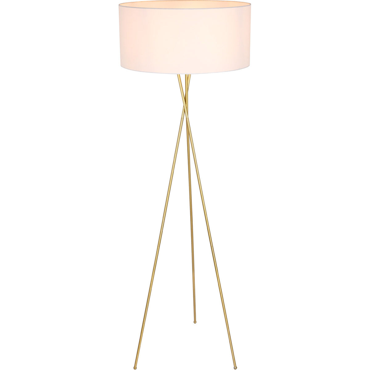 Cason 66 inch 60 watt Brass Floor lamp Portable Light