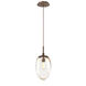 Meteo Incandescent 1 Light 9 inch Burnished Bronze Pendant Ceiling Light in Amber