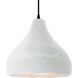 Radiance LED 13.5 inch Gloss White and Matte Black Pendant Ceiling Light