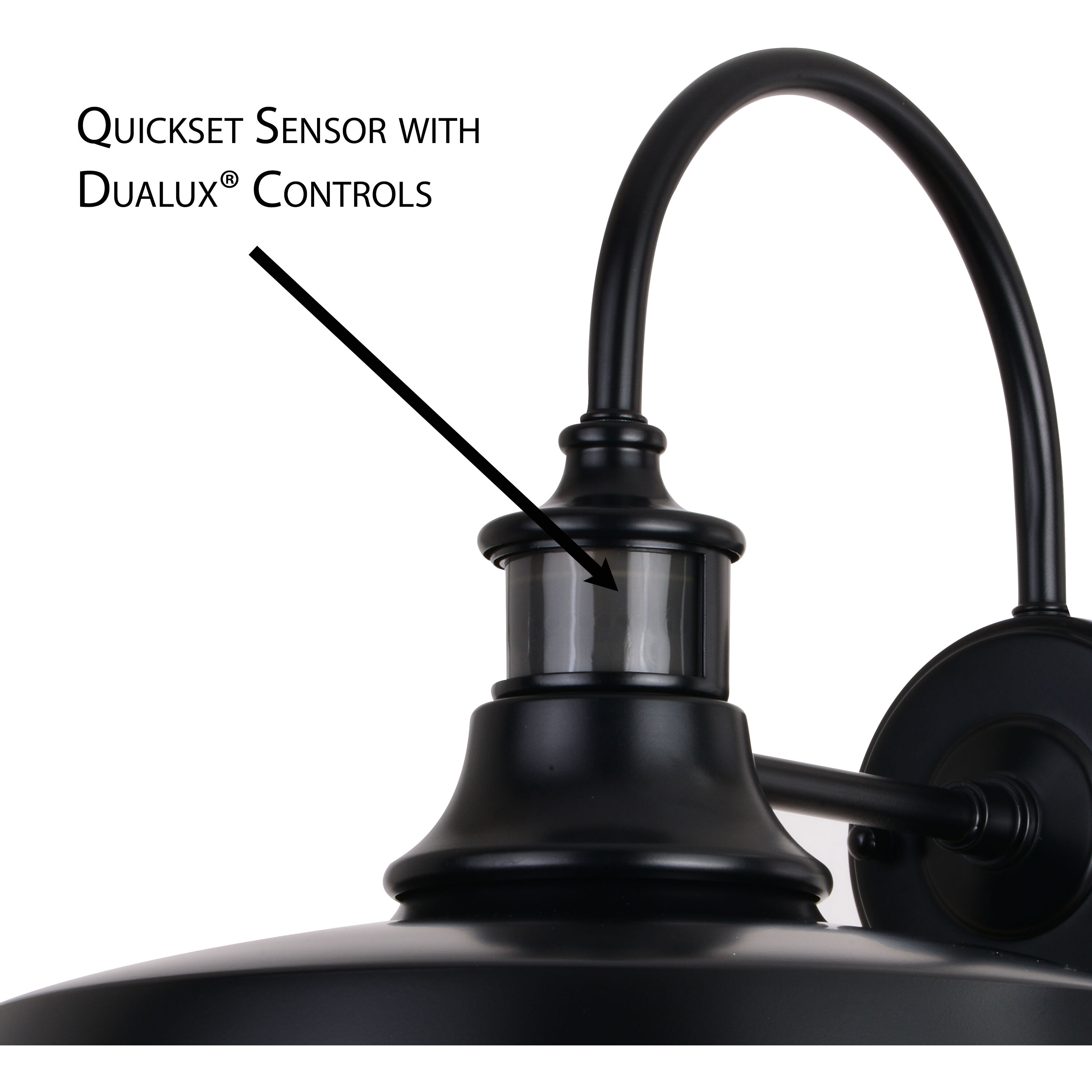 Dorado Dark Bronze and Light Gold Outdoor Motion Sensor