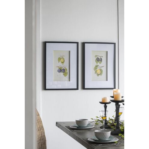 Smithsonian Black and Green/Yellow Wall Art, Assorted Fruit