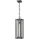 Ashland 1 Light 6.75 inch Matte Black Outdoor Pendant in Seedy Glass