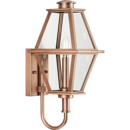 Bradshaw 1 Light 7.25 inch Outdoor Wall Light