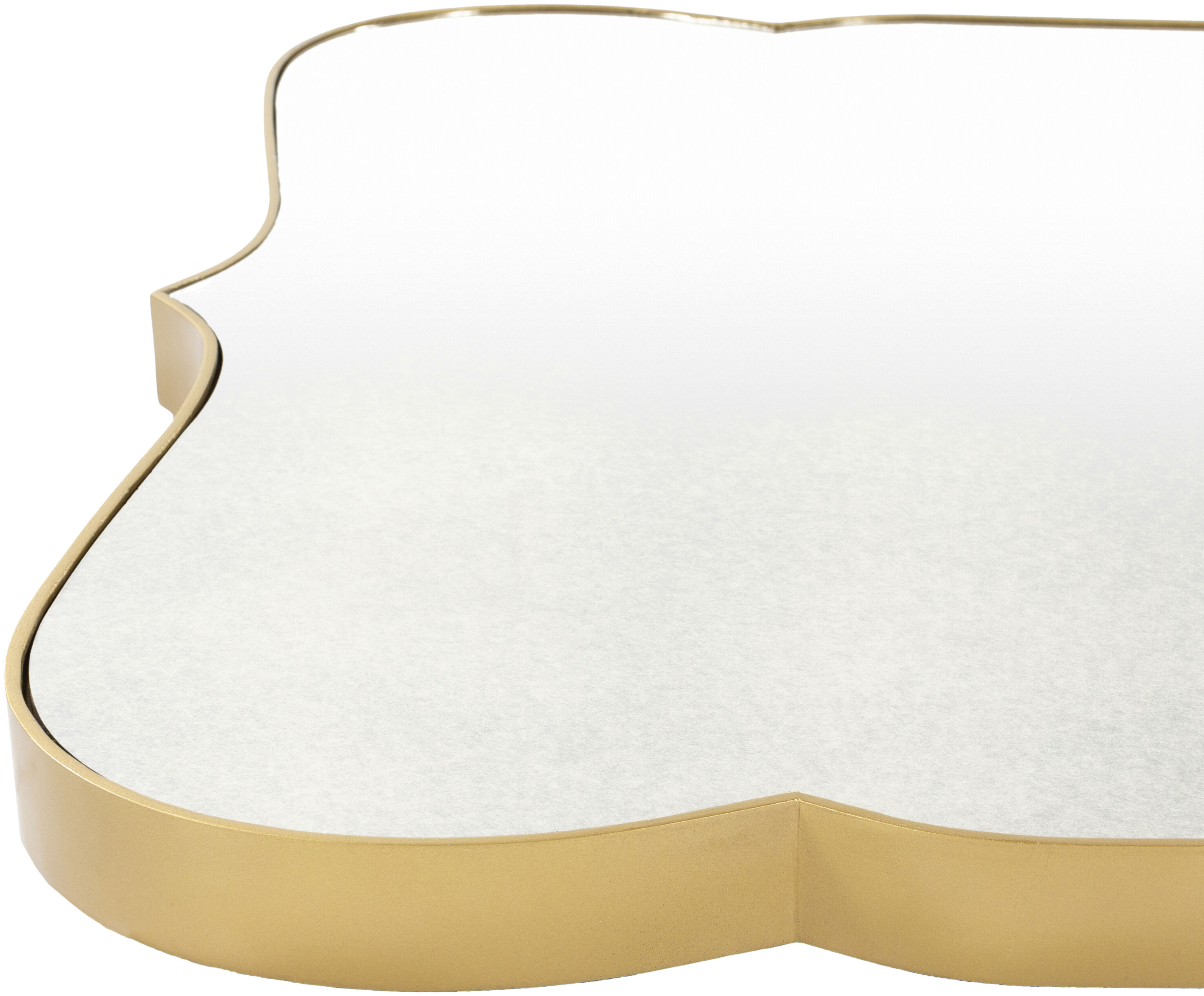 Imelda 40 X 30 inch Gold Mirror, Large