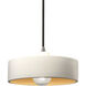 Radiance Collection 1 Light 12 inch Brushed Nickel Pendant Ceiling Light