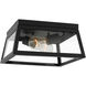 Founders 2 Light 11.5 inch Black Outdoor Flush Mount