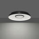 Pinpoint LED 16.38 inch Black Flush Mount Ceiling Light in 2700K, dweLED