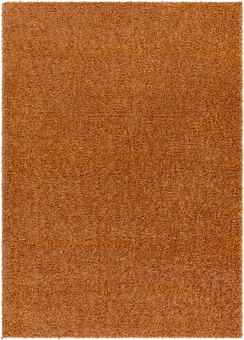 Deluxe Shag 36 X 24 inch Rust Rug, Rectangle