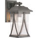 Luce 1 Light 12 inch Antique Pewter Outdoor Wall Lantern, Small