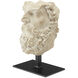 Head of Zeus 9 X 6 inch Sculpture