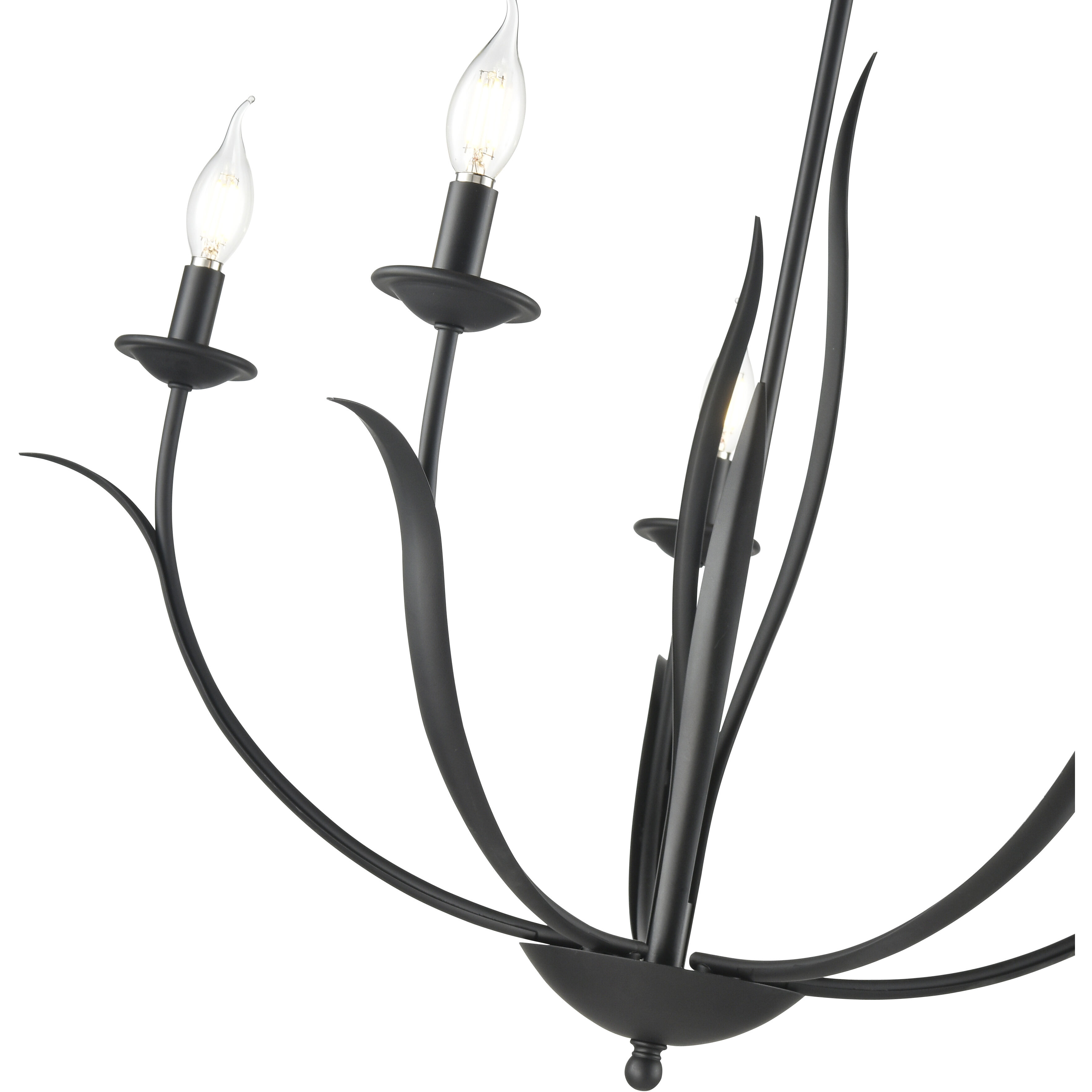 Charlize 5 Light 29.5 inch Matte Black Chandelier Ceiling Light