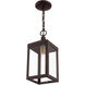 Nyack 1 Light 6.25 inch Bronze with Antique Brass Cluser Outdoor Pendant Lantern