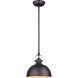 Madison 1 Light 9 inch Oil Rubbed Bronze Pendant Light Ceiling Light