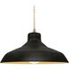 Radiance 1 Light 15.5 inch Carbon Matte Black and Champagne Gold and Antique Brass Pendant Ceiling Light