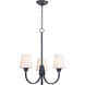 Shelter 3 Light 20 inch Black Chandelier Ceiling Light