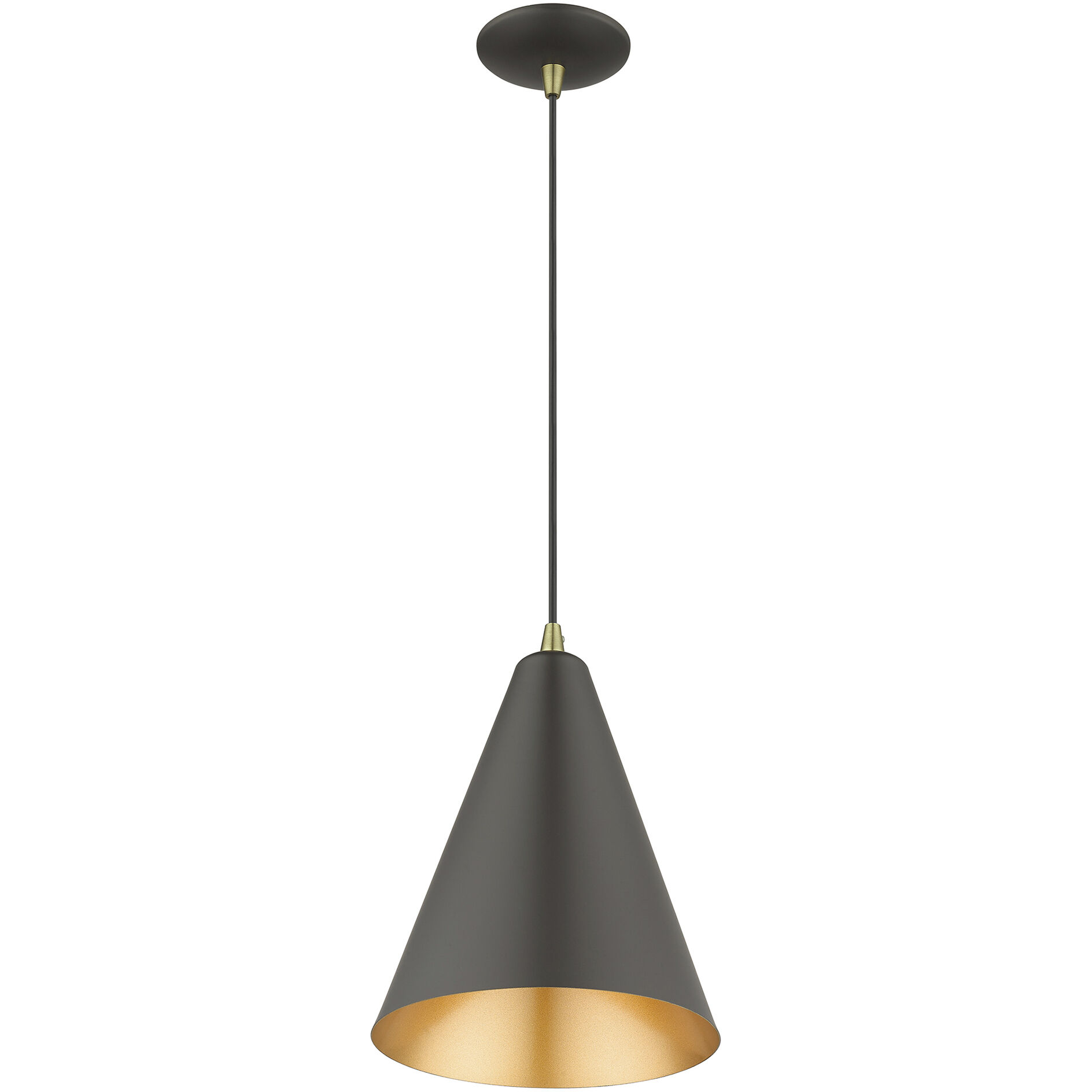 Dulce 1 Light 10 inch Bronze with Antique Brass Accents Pendant Ceiling Light in Bronze & Brushed Nickel