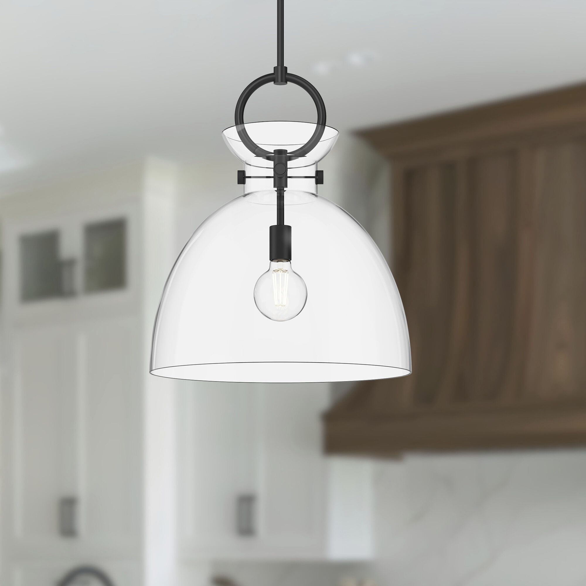 Alora Mood Waldo Pendant Ceiling Light in Matte Black, Clear Glass