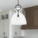 Alora Mood Waldo Pendant Ceiling Light in Matte Black, Clear Glass